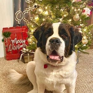 Meet your Posher, Kylee